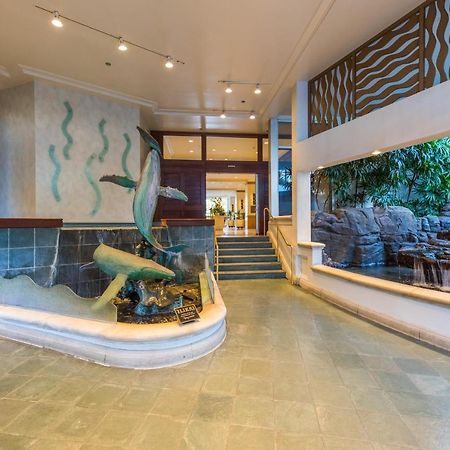 @ Marbella Lane - Oceanview Suite Steps To Beach Honolulu Dış mekan fotoğraf